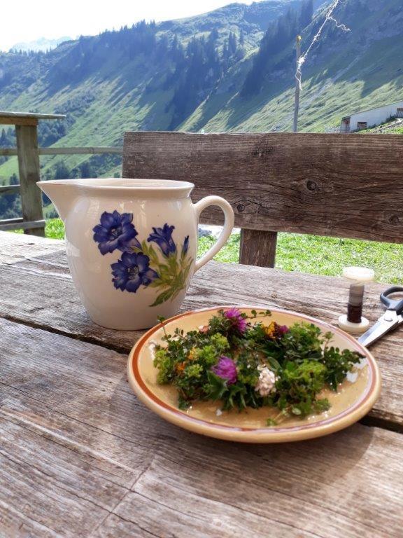Отель Berghaus Schafer Фашина Экстерьер фото